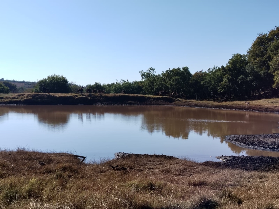 Commercial Property for Sale in Koster North West
